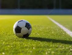 高效降解,及去除重金,属的菌株研,开云体育,开云体育官网,开云体育app,开云体育平台,KAIYUN,SPORTS,kaiyun登录入口